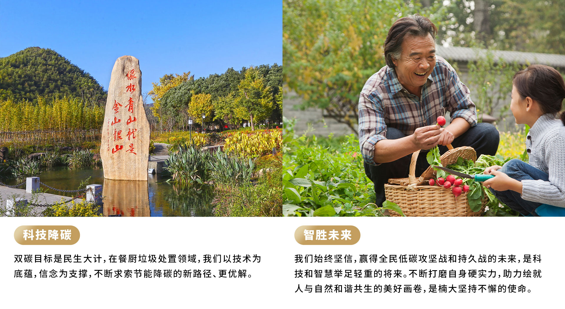 &#39318;&#39029;&#95;&#74;&#68;&#66;&#40;&#20013;&#22269;&#41;&#30005;&#23376;&#95;&#23448;&#26041;&#32593;&#31449;